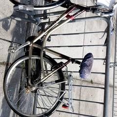 Damesfiets batavus, zoals gemeld door Stadswerk072 met iLost