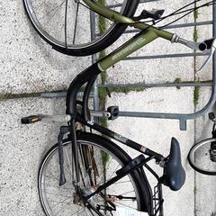 Damenrad batavus, gemeldet von Stadswerk072 über iLost