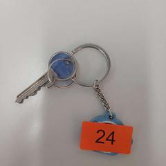Bizikletaren giltza, gisa salatu by Werchter Boutique iLost erabiliz