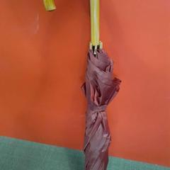 Paraplu, zoals gemeld door Regio Limburg - Leuven met iLost