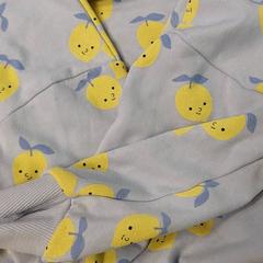 Vestje, segons ha informat IKEA Hasselt mitjançant iLost