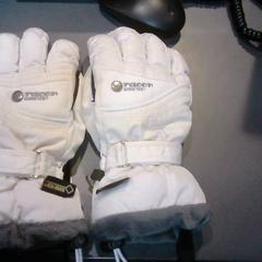 Handskar, rapporterat av SnowWorld Landgraaf med iLost