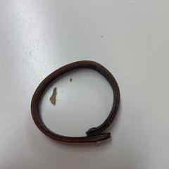 Armband Bruin, como reportado por Avonturenpark Hellendoorn utilizando o iLost