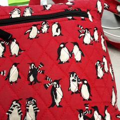 Bolsa Rood, ha sido reportado por Arriva Friesland / Groningen con iLost