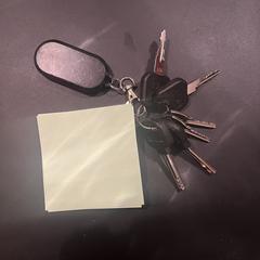 Sleutelbos, as reported to iLost