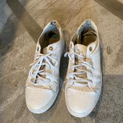 Sneaker White sneakers, segons ha informat Conscious Hotel Westerpark mitjançant iLost