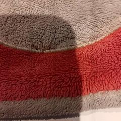 Peluix, segons ha informat De Efteling mitjançant iLost