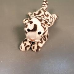 Peluche, como reportado por Diergaarde Blijdorp utilizando o iLost