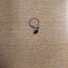 Náušnice, jak nahlášeno UVO Vervoer pomocí iLost