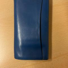 Almohadón, ha sido reportado por GVB con iLost