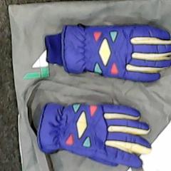 Rukavice & Taška, ako bolo nahlásené SnowWorld Landgraaf pomocou iLost