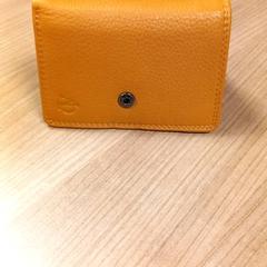 Titular da paixón De Vos, segundo informou RRReis Veluwe Zuid - Ede usando iLost