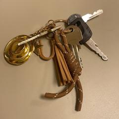 Klíče, jak nahlášeno Pathé Schiedam pomocí iLost