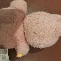 Manteta rose, segons ha informat TCL mitjançant iLost