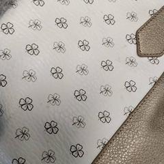 Bossa, segons ha informat Arriva Friesland / Groningen mitjançant iLost