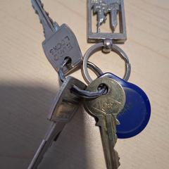 열쇠, iLost를 사용하여 Alrijne Leiderdorp에 보고됨