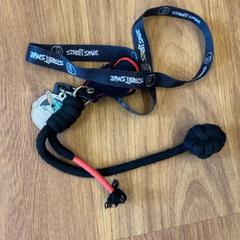 Clauer, segons ha informat GVB mitjançant iLost