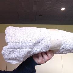 Towel, as reported by MEININGER Hotel Lyon Centre Berthelot using iLost