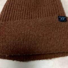 Beanie Bruin, som rapportert av Arriva Vechtdallijnen ved bruk av iLost