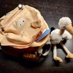 Roze kinder rugzak met knuffel, som rapporterats till iLost