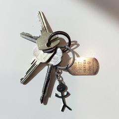 Chaveiro, como reportado por Gemeente Weert utilizando o iLost