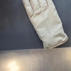 Hanske Beige, som rapportert av Burgers' Zoo ved bruk av iLost