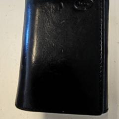 Zorroa Challa, gisa salatu by GVB iLost erabiliz