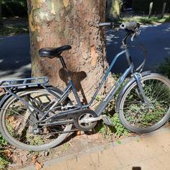 Damesfiets, segons s'ha informat a iLost
