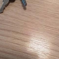 Nøkler, som rapportert av Qbuzz Fryslân ved bruk av iLost