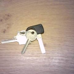 鍵 3 stuks がiLostで Bobbejaanland によって報告されました