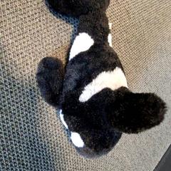 İLost kullanarak Keukenhof tarafından bildirildiği gibi Oyuncak Orka