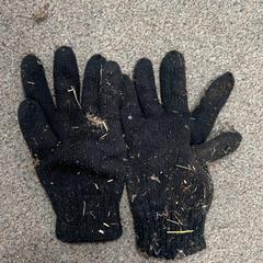 Handschoen, segons ha informat Burgers' Zoo mitjançant iLost