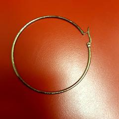 Oorbel, zoals gemeld door UvA REC met iLost