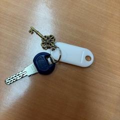 Chaves, como reportado por Gemeente Zutphen utilizando o iLost