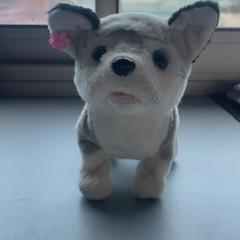 Joguina, segons ha informat Madurodam mitjançant iLost