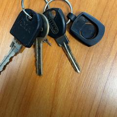 Schlüssel, gemeldet von Arriva Achterhoek-Rivierenland über iLost