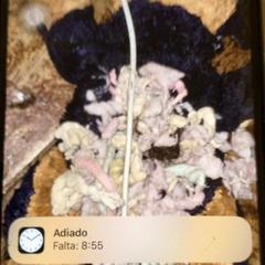 Mobilní telefon, jak nahlášeno U-OV Utrecht pomocí iLost