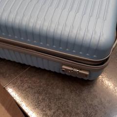 Valise, a été signalé par Rotterdam The Hague Airport utilisant iLost