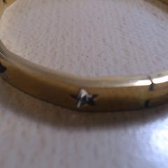 Náramok Goudkleurig, ako bolo nahlásené Walibi Holland pomocou iLost