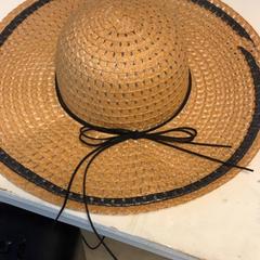 Hat, as reported by Artis using iLost