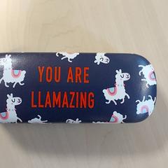 Brillendoos, zoals gemeld door Regio Oost-Vlaanderen met iLost