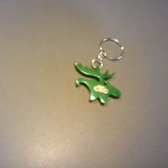 Sleutelhanger, iLost를 사용하여 SnowWorld Landgraaf에 보고됨