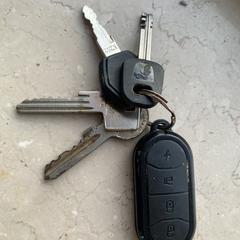 Sleutelbos, som rapporterats till iLost