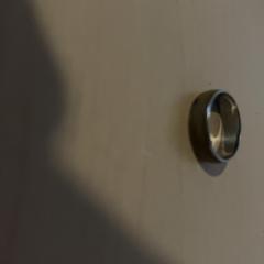 Anel Bruin, segundo informou Jaarbeurs usando iLost