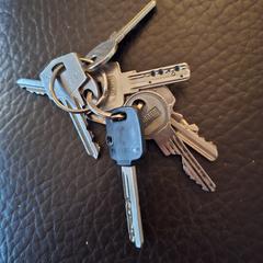 Sleutelbos, gerapporteerd met iLost