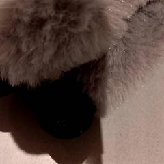 Peluche, ha sido reportado por De Efteling con iLost