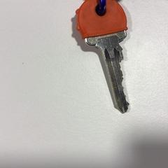 Llave Huissleutel, ha sido reportado por Gemeente Veenendaal con iLost