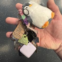 Keys, amint azt az iLostnak jelentették.