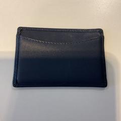 Pasjeshouder Huey, malysie, ako bolo nahlásené Gemeente Amsterdam - Bureau Gevonden Voorwerpen pomocou iLost