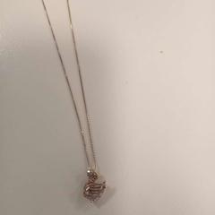 Pegar Ketting met bedel zwaan en steentje, segundo informou HU Amersfoort usando iLost